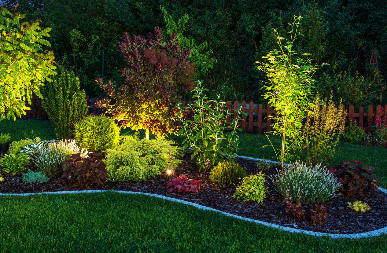 outdoor landscape lighting highlighting a garden